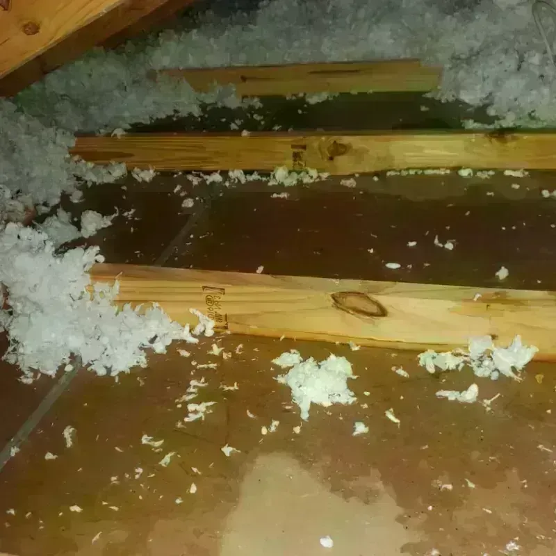 Attic Water Damage in Southport, CT